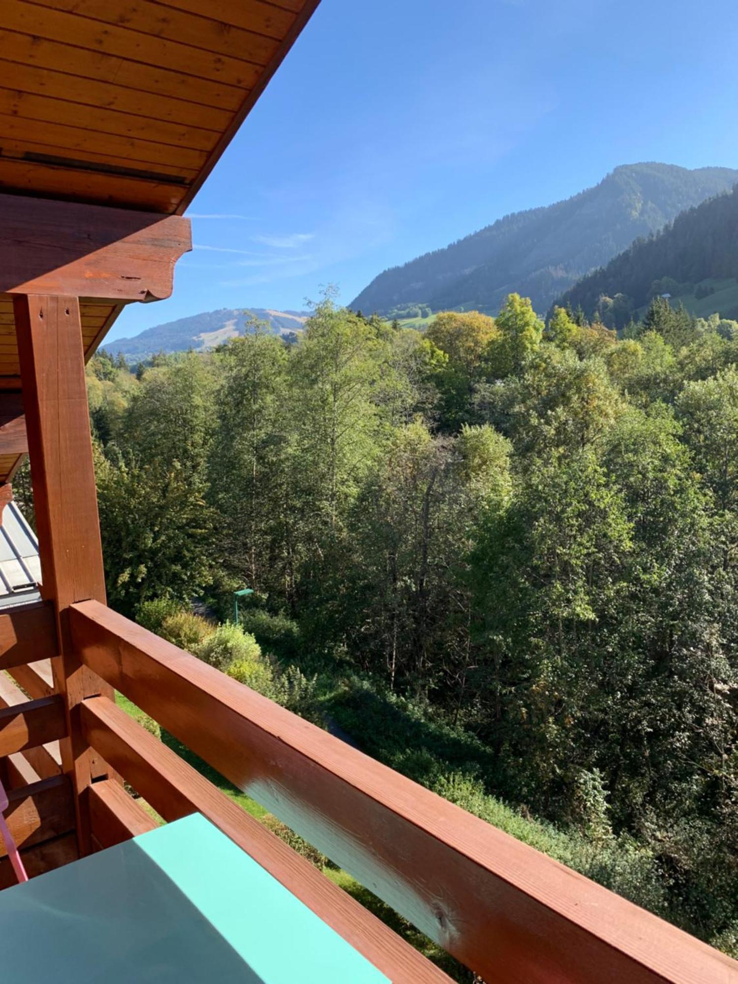 Appartement Vue Piste De Ski Praz-sur-Arly Bagian luar foto